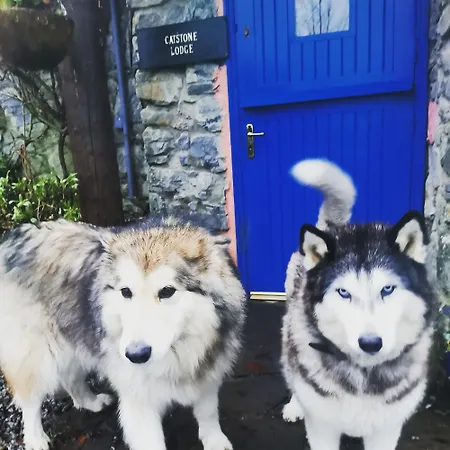 Catstone Apartment *