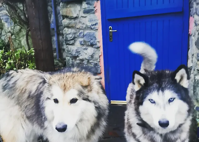 Catstone Apartamento *